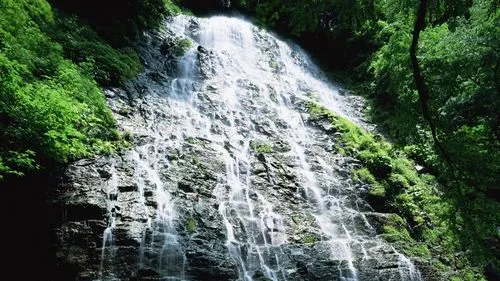 精密高精度电子